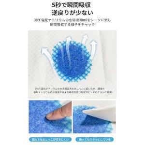 即日出荷 ハニーケア ペットシート 薄型 ワイド 100枚 ペットシーツ 犬