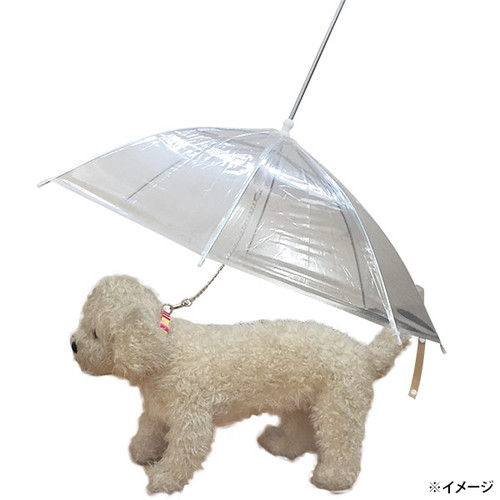 ペット用 ビニール傘 小型犬～中型犬用 レイングッズ