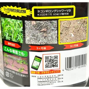 即日出荷 レインボー薬品 ネコソギロングシャワーV9 4L 除草剤 雑草対策 家庭園芸農薬 セキチュードットコム