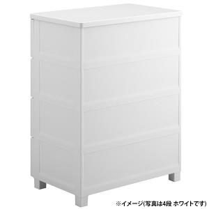 直送 日時指定不可 天馬 フィッツプラスデコ 5段 幅65cm FD6505