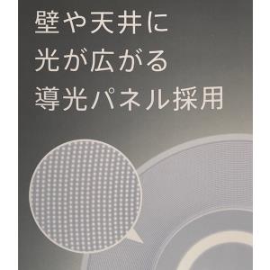 即日出荷 アイリスオーヤマ LEDシーリングライト パネルライト 導光板