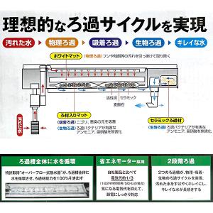 即日出荷 ジェックス Gex デュアルクリーン600 Dc 600 幅60cm水槽用上部式フィルター 観賞魚 セキチュードットコム