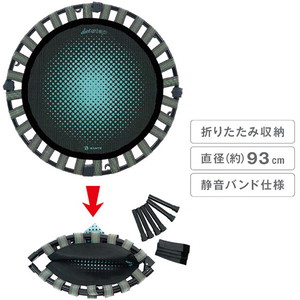 即日出荷 B-SANTE ビ・サンテ ダイエットステップ トランポリン 3B